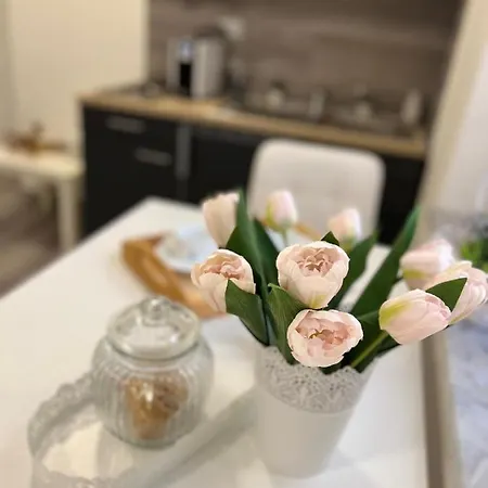 Prázdninový dům Marand House *